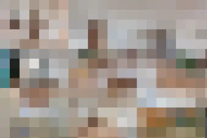 Klimopzoom 52 Leiderdorp thumbnail 13