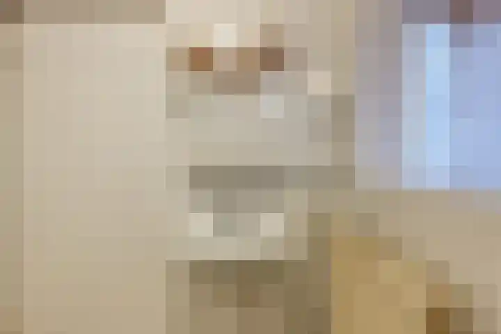 Klimopzoom 52 Leiderdorp thumbnail 19
