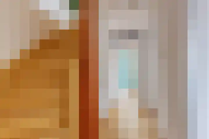 Klimopzoom 52 Leiderdorp thumbnail 25