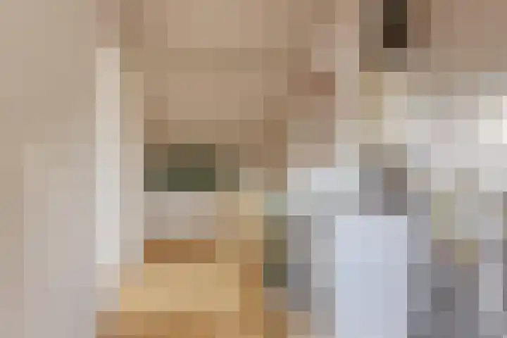 Klimopzoom 52 Leiderdorp thumbnail 27