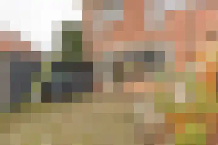 Klimopzoom 52 Leiderdorp thumbnail 31