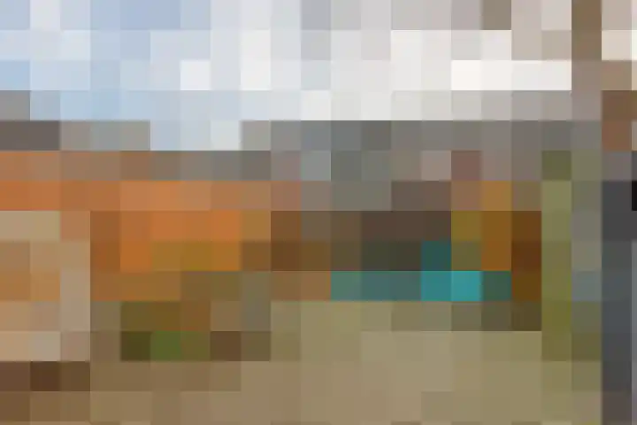 Klimopzoom 52 Leiderdorp thumbnail 32