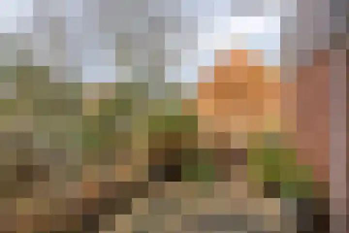 Klimopzoom 52 Leiderdorp thumbnail 35