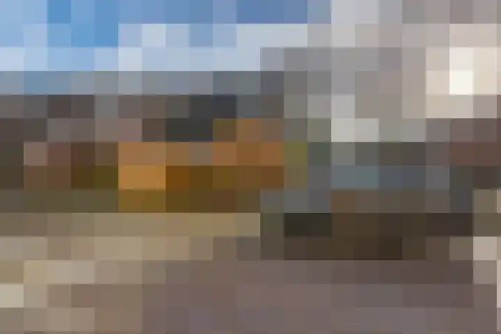 Klimopzoom 52 Leiderdorp thumbnail 36