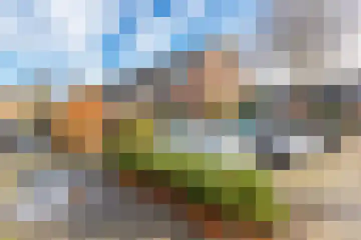 Klimopzoom 52 Leiderdorp thumbnail 37