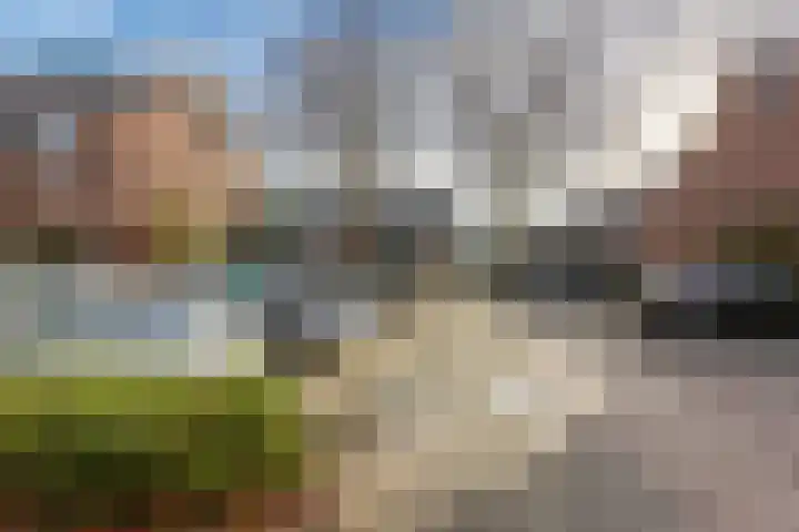 Klimopzoom 52 Leiderdorp thumbnail 38