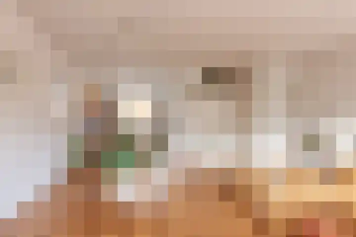 Klimopzoom 52 Leiderdorp thumbnail 6