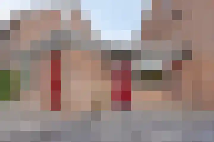Klimopzoom 6 Leiderdorp