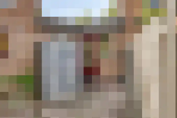 Klimopzoom 6 Leiderdorp thumbnail 13