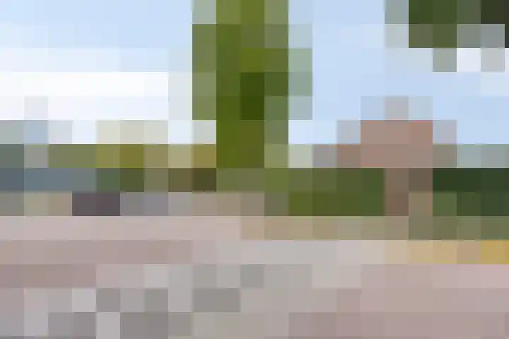 Klimopzoom 6 Leiderdorp thumbnail 15
