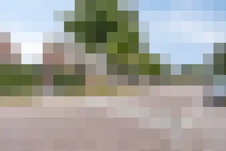 Klimopzoom 6 Leiderdorp thumbnail 16