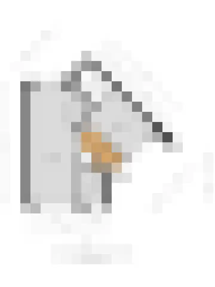 Klimopzoom 6 Leiderdorp thumbnail 17