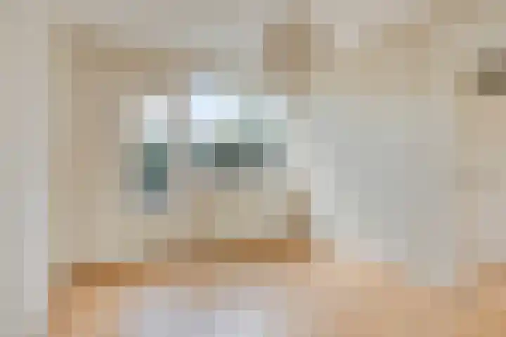 Klimopzoom 6 Leiderdorp thumbnail 8