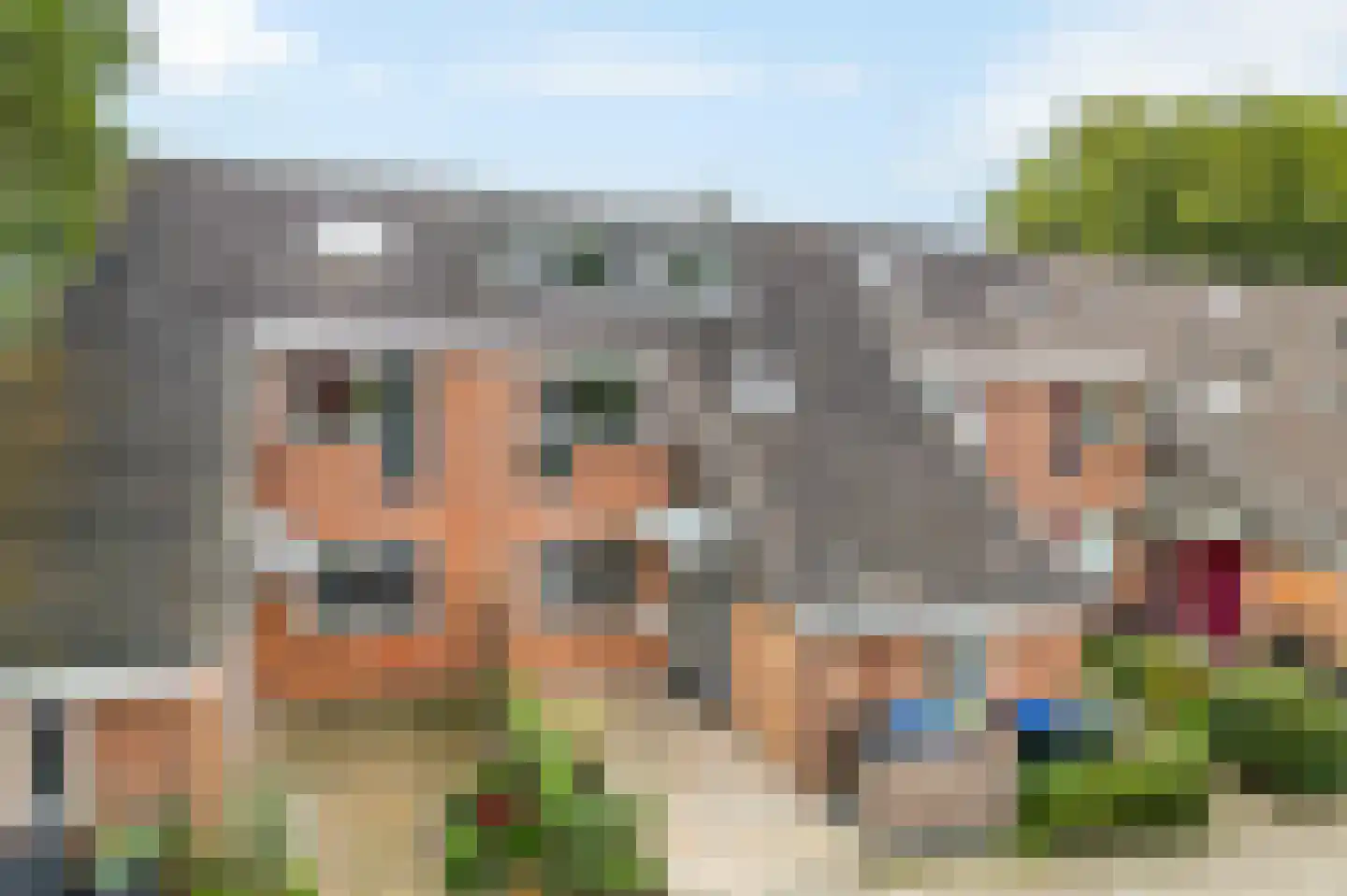 Klimopzoom 62 Leiderdorp