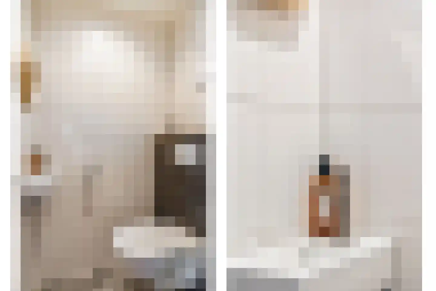 Klimopzoom 62 Leiderdorp thumbnail 10