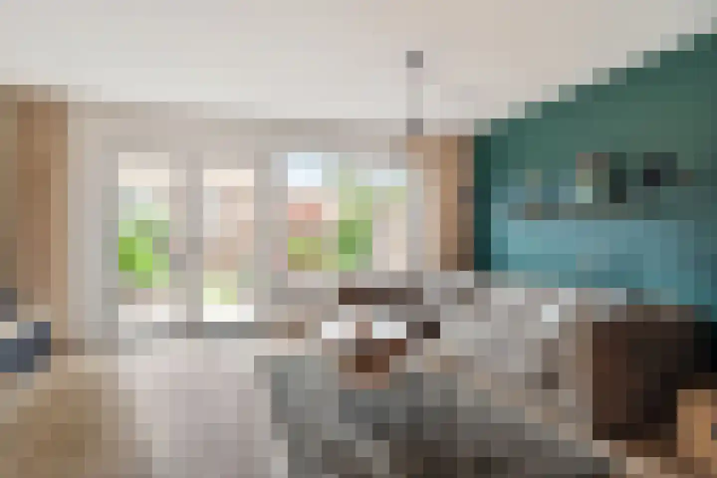 Klimopzoom 62 Leiderdorp thumbnail 11