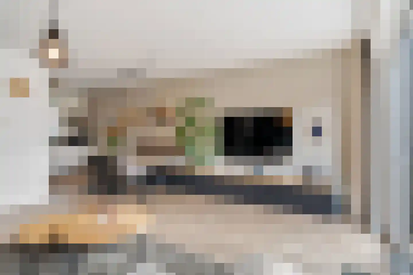 Klimopzoom 62 Leiderdorp thumbnail 12