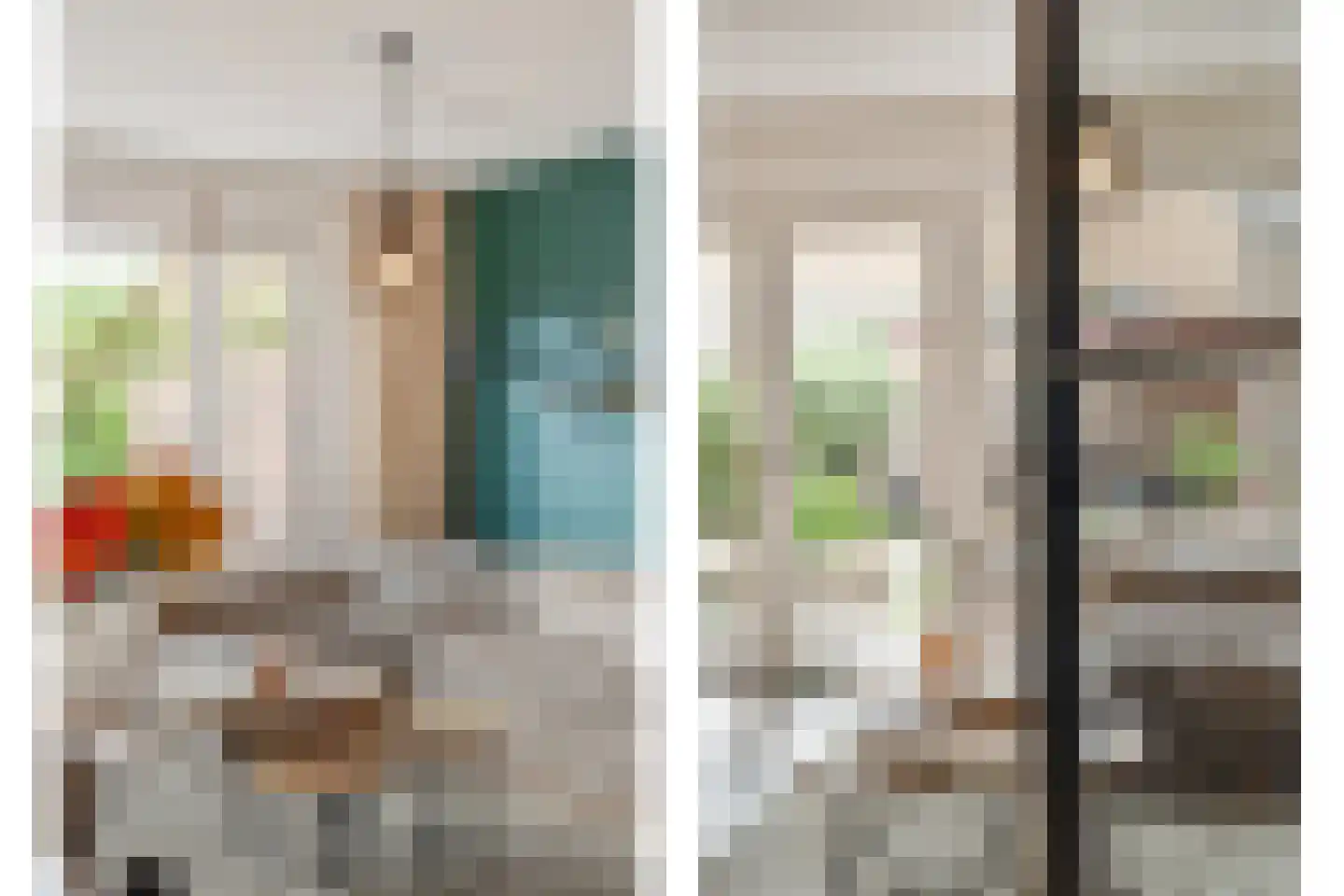 Klimopzoom 62 Leiderdorp thumbnail 14