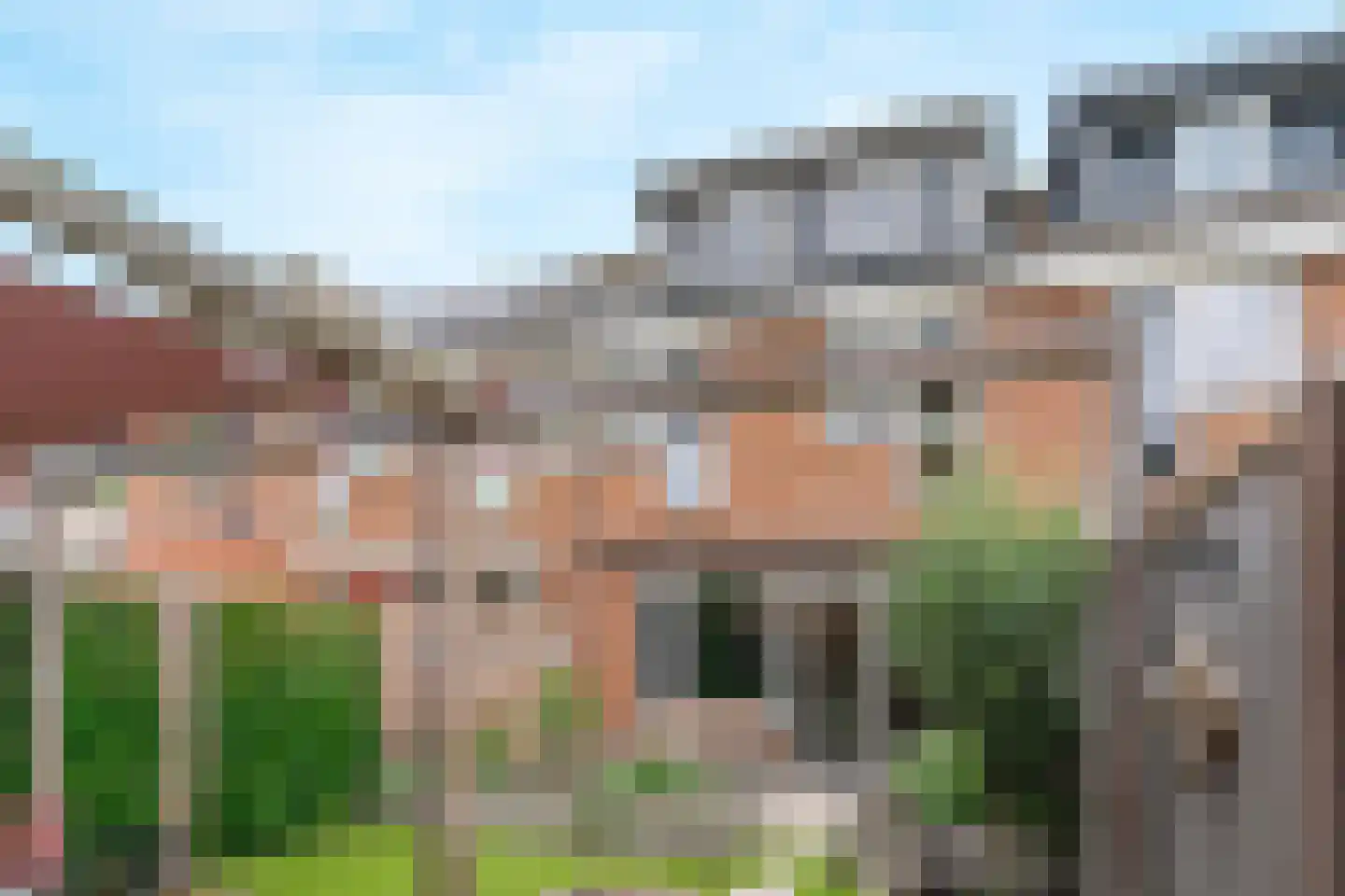 Klimopzoom 62 Leiderdorp thumbnail 19