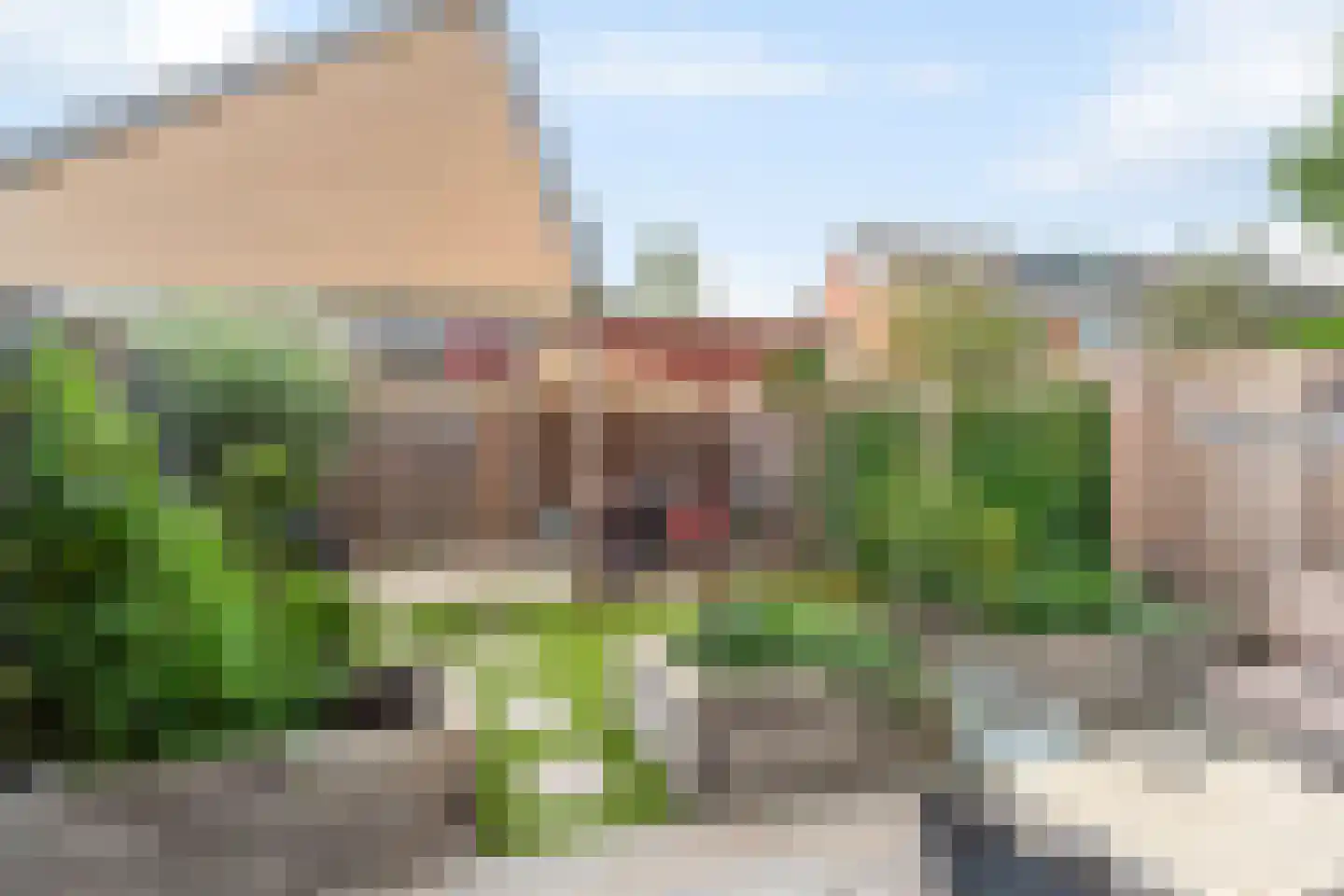 Klimopzoom 62 Leiderdorp thumbnail 21