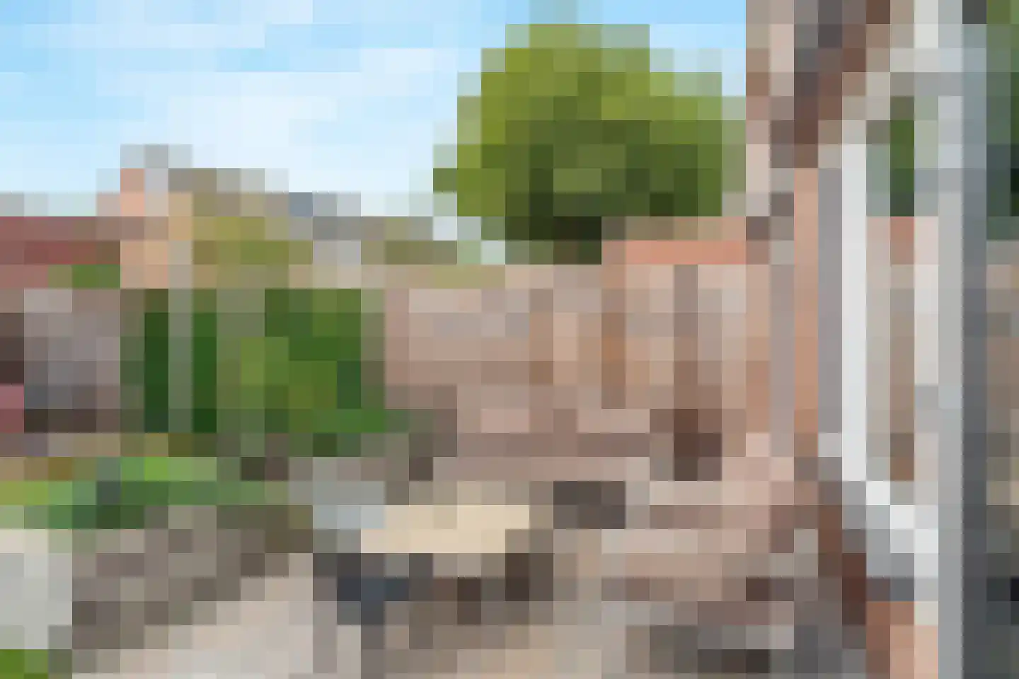 Klimopzoom 62 Leiderdorp thumbnail 22