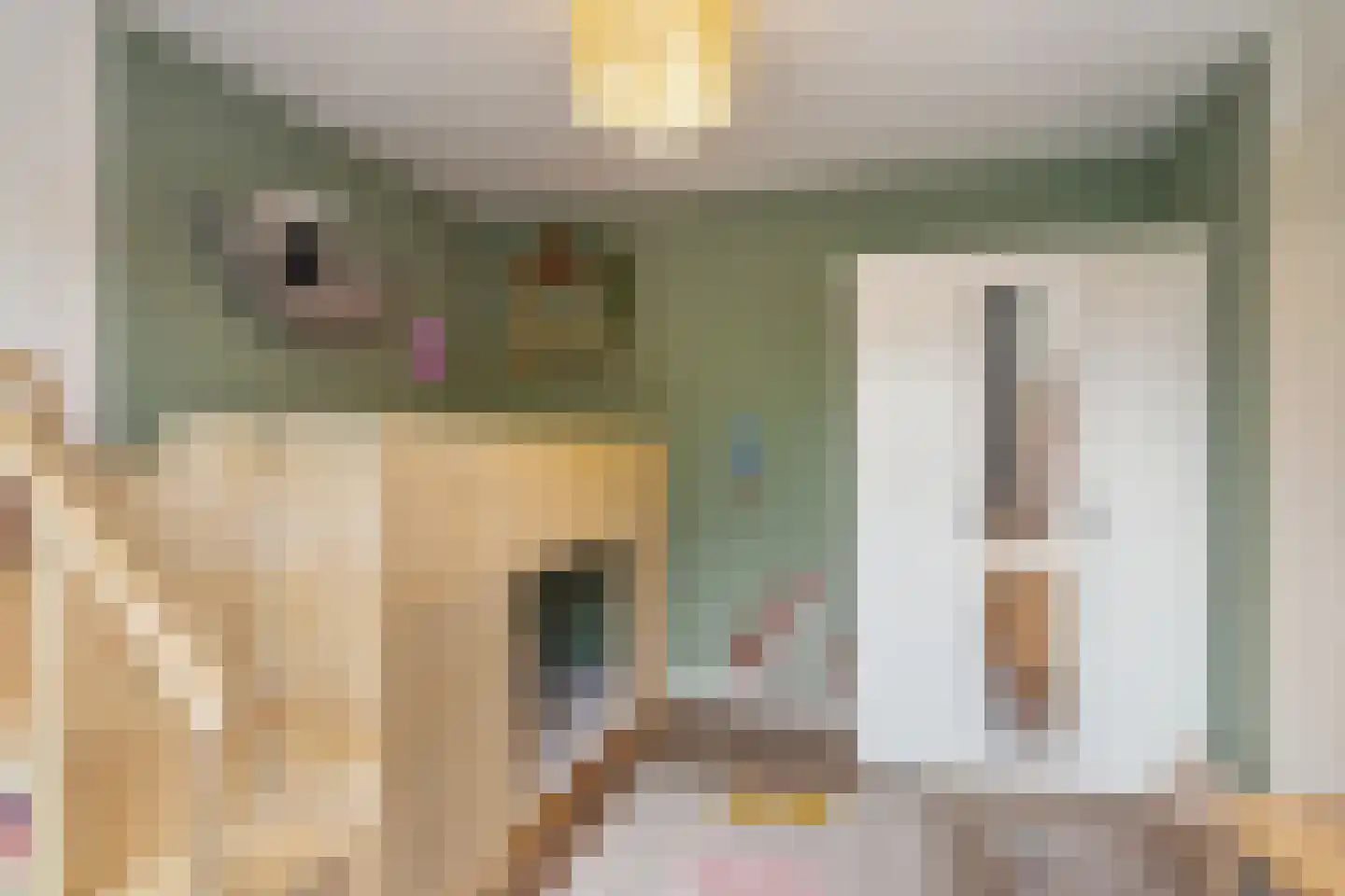 Klimopzoom 62 Leiderdorp thumbnail 26