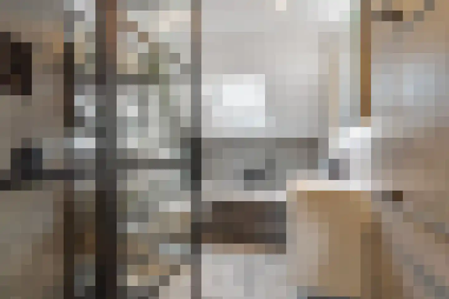 Klimopzoom 62 Leiderdorp thumbnail 27