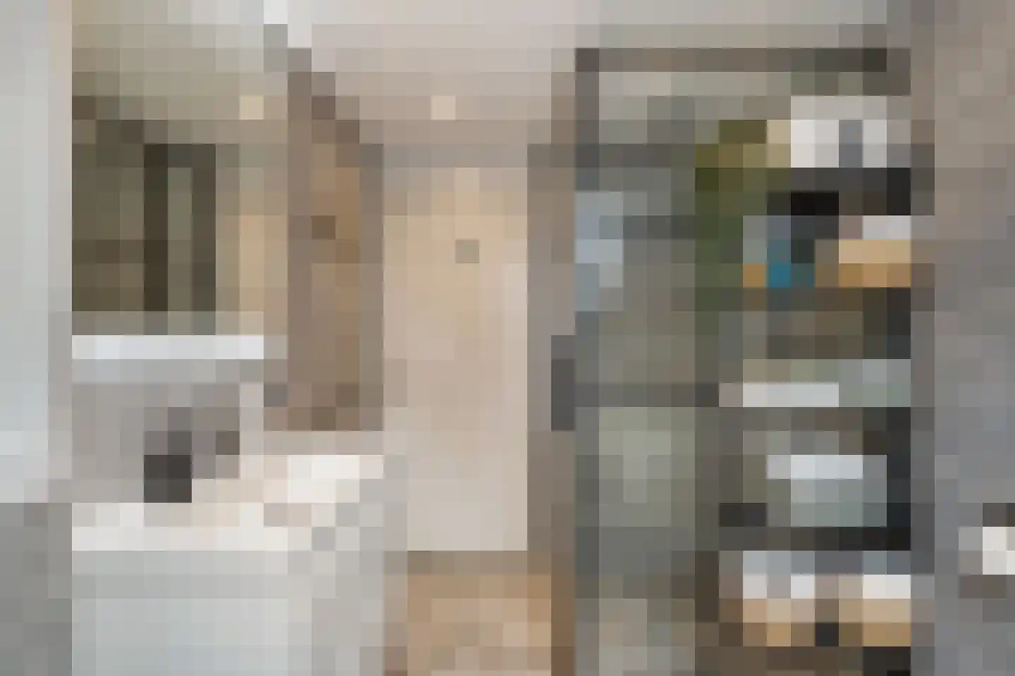 Klimopzoom 62 Leiderdorp thumbnail 28