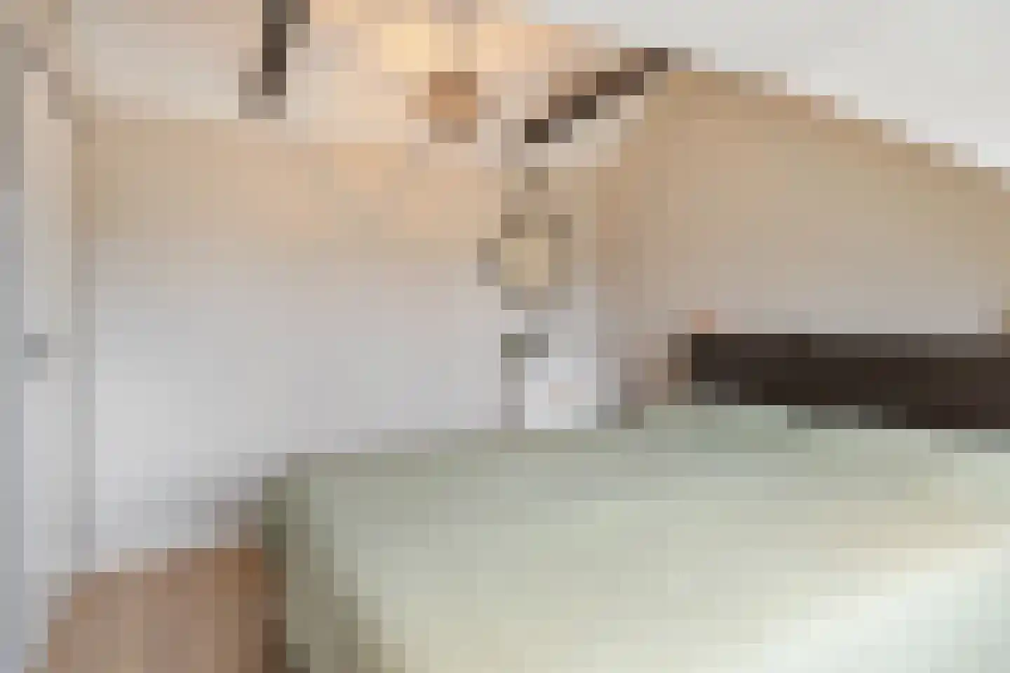 Klimopzoom 62 Leiderdorp thumbnail 36