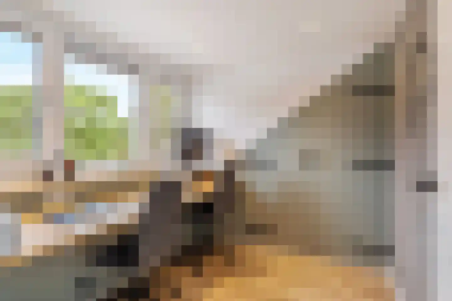 Klimopzoom 62 Leiderdorp thumbnail 37
