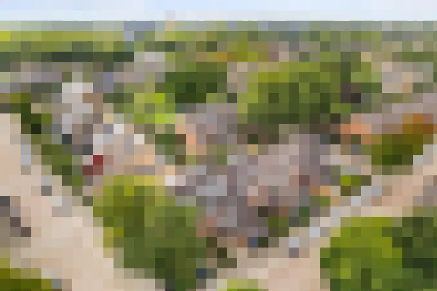 Klimopzoom 62 Leiderdorp thumbnail 43