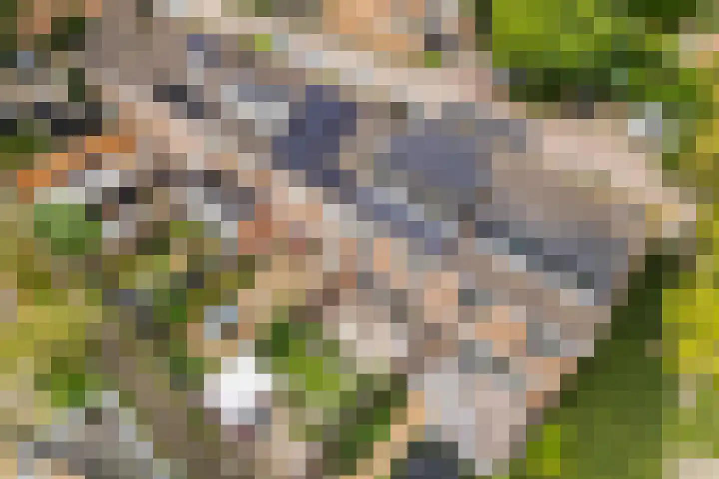 Klimopzoom 62 Leiderdorp thumbnail 44