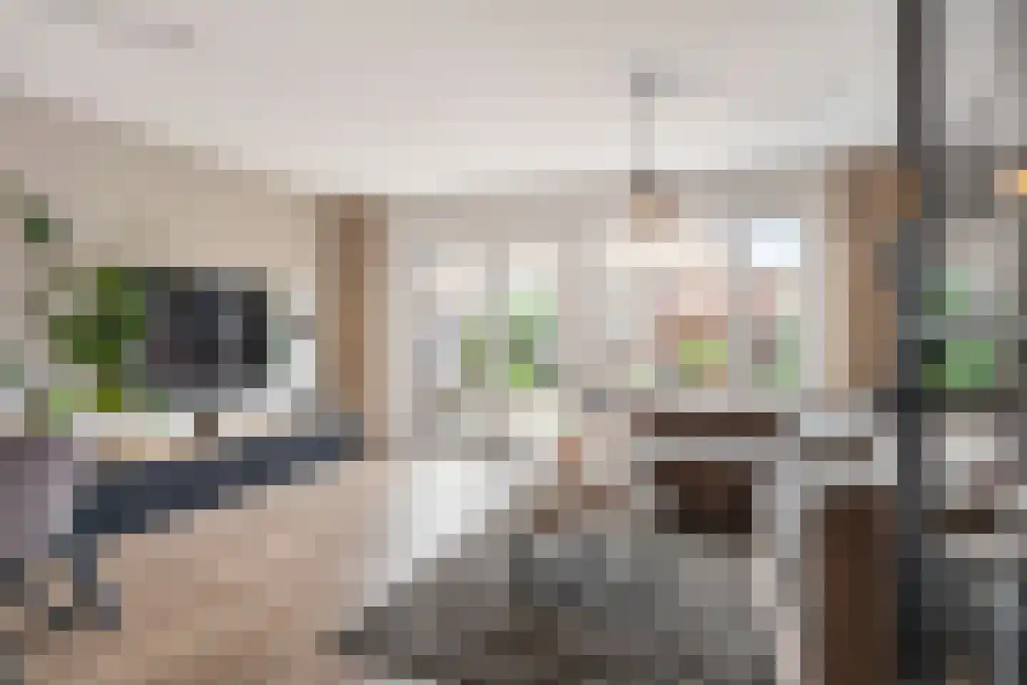Klimopzoom 62 Leiderdorp thumbnail 6