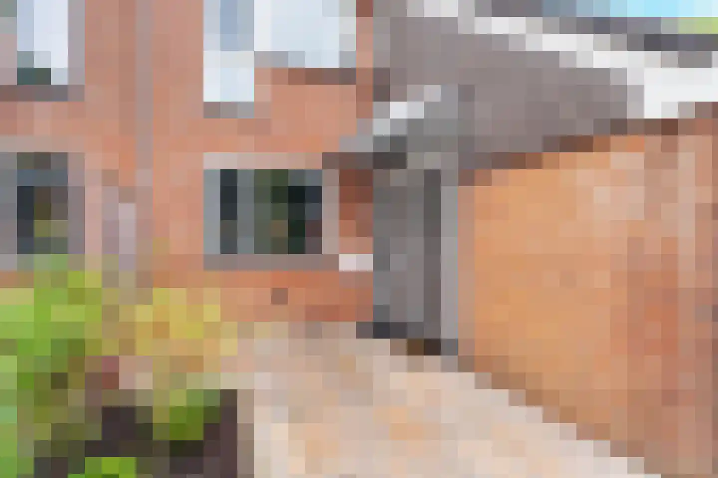 Klimopzoom 62 Leiderdorp thumbnail 7