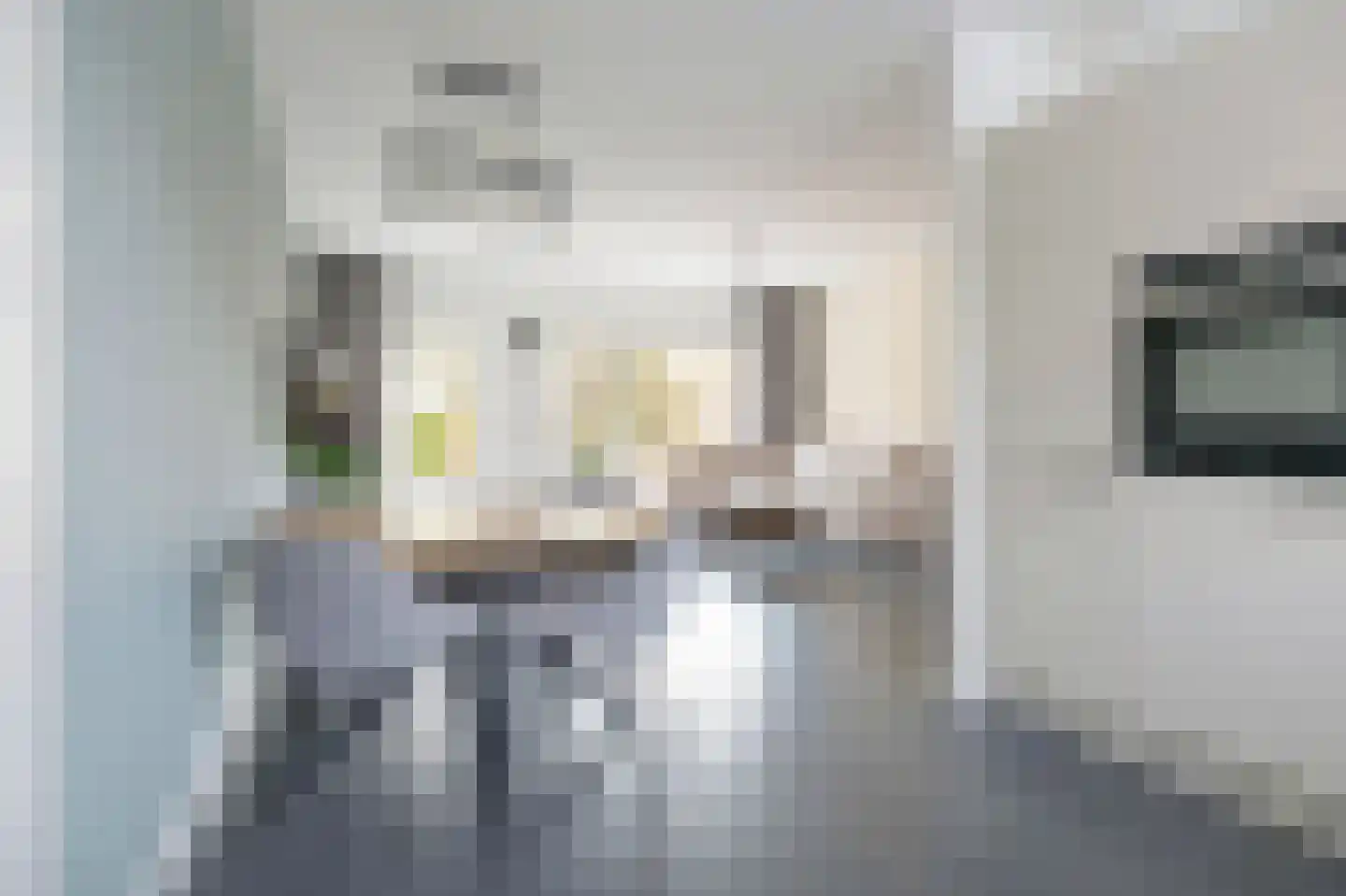 Klimopzoom 91 Leiderdorp thumbnail 10