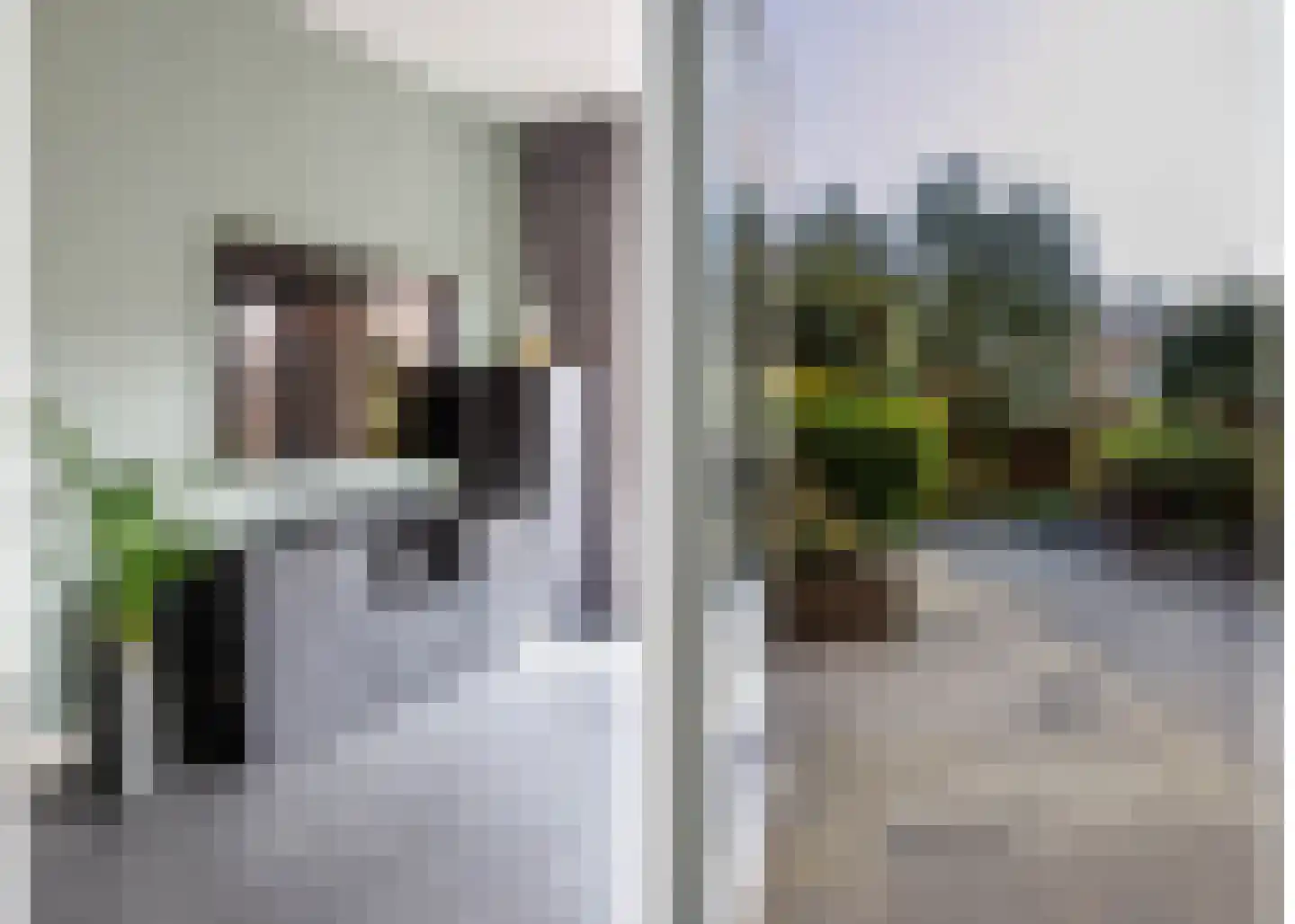 Klimopzoom 91 Leiderdorp thumbnail 11