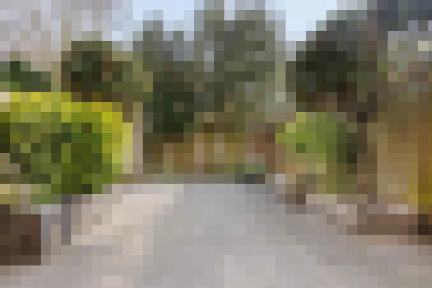 Klimopzoom 91 Leiderdorp thumbnail 13
