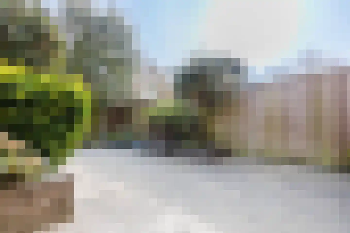 Klimopzoom 91 Leiderdorp thumbnail 14