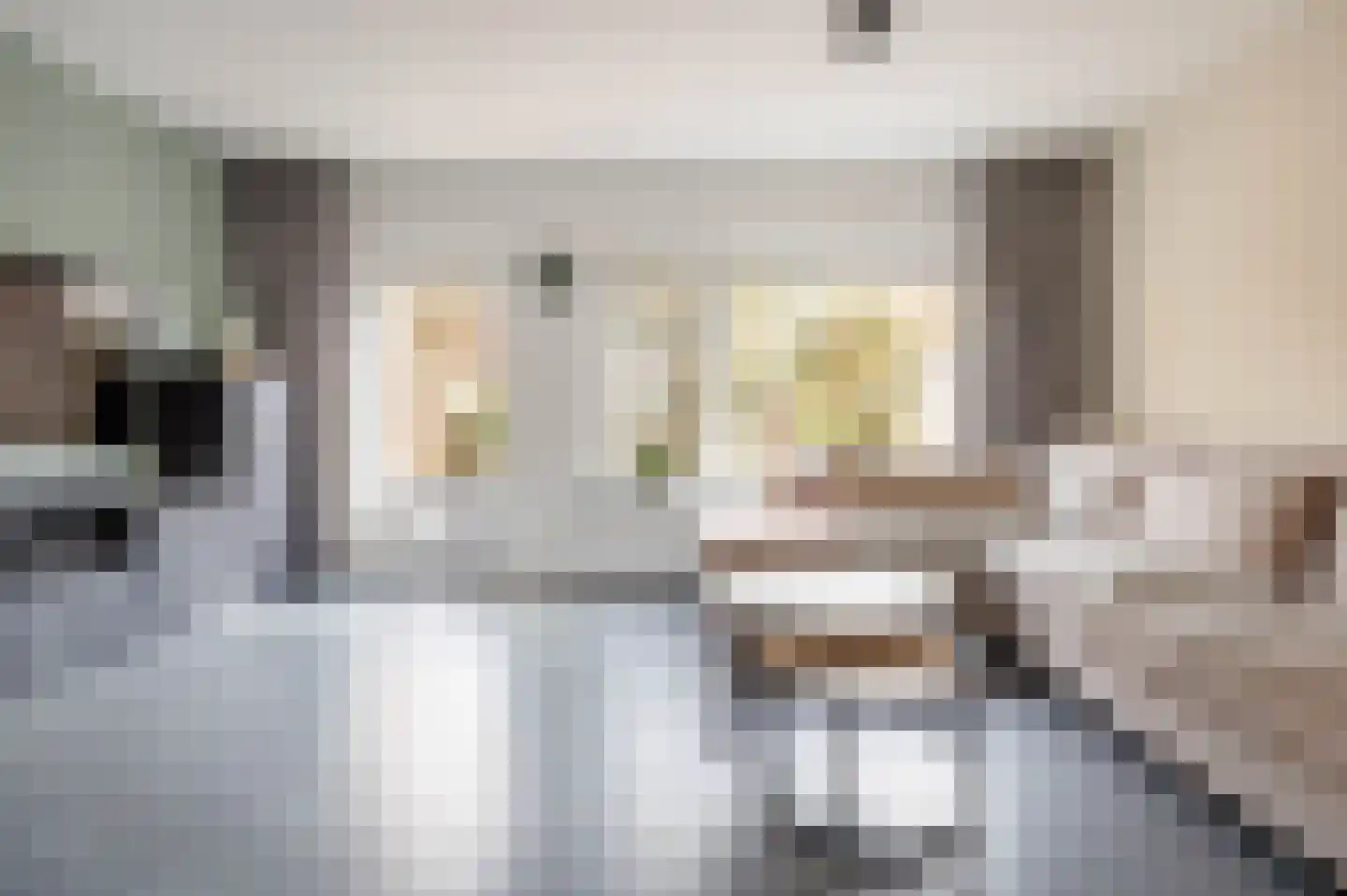 Klimopzoom 91 Leiderdorp thumbnail 15