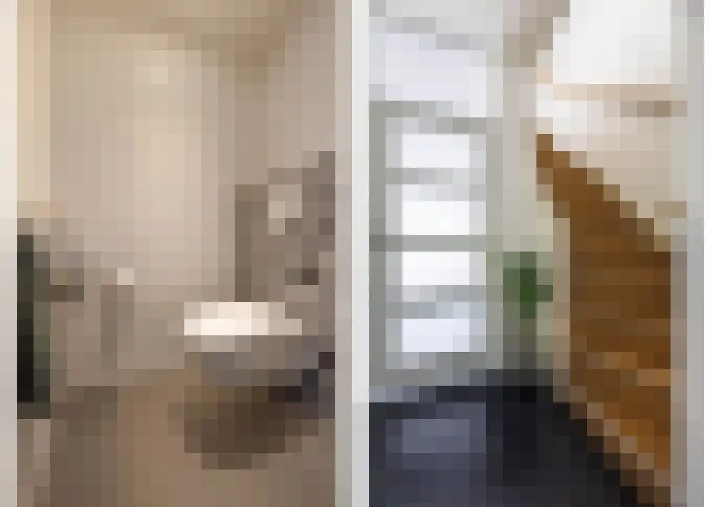 Klimopzoom 91 Leiderdorp thumbnail 17