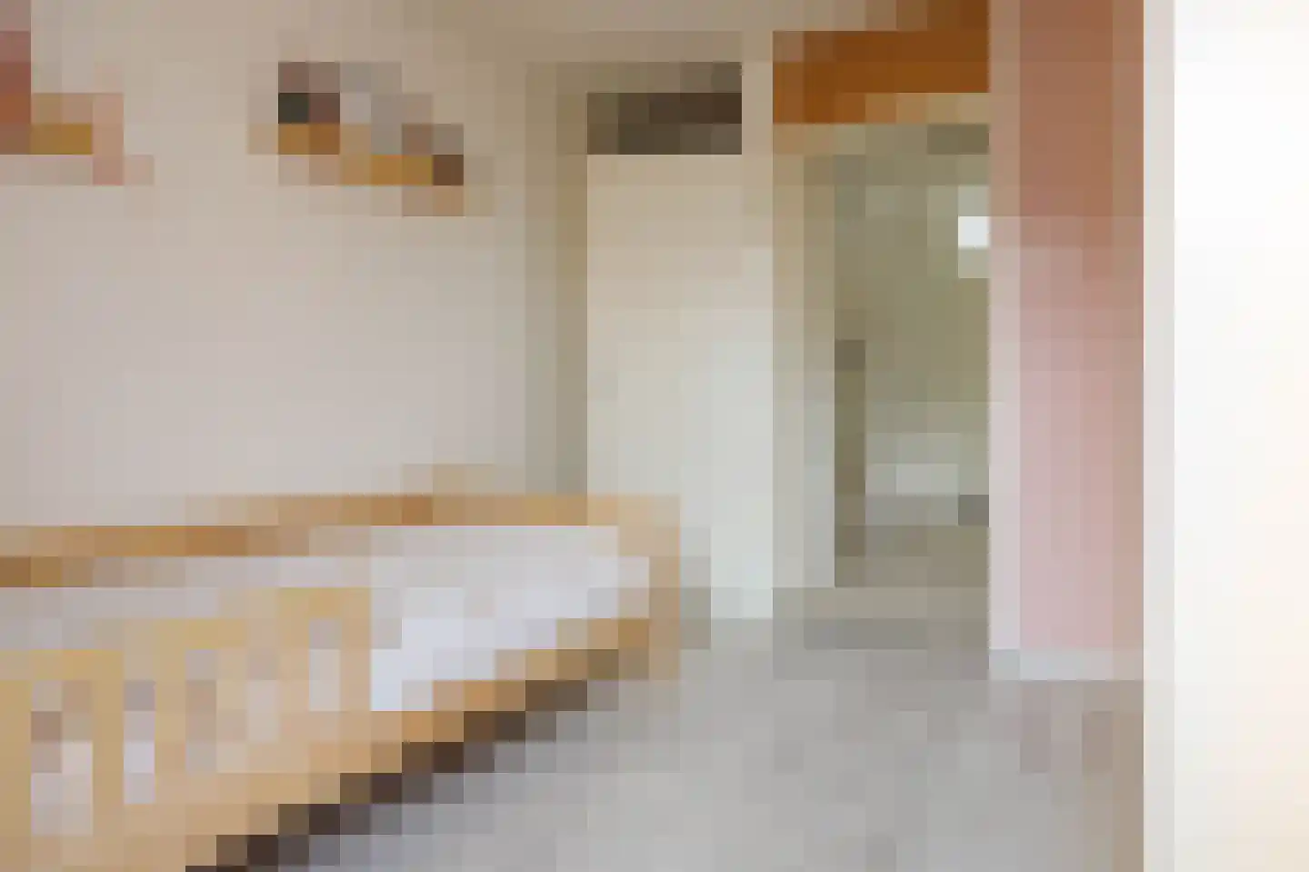 Klimopzoom 91 Leiderdorp thumbnail 20