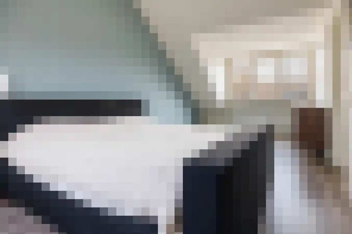Klimopzoom 91 Leiderdorp thumbnail 30