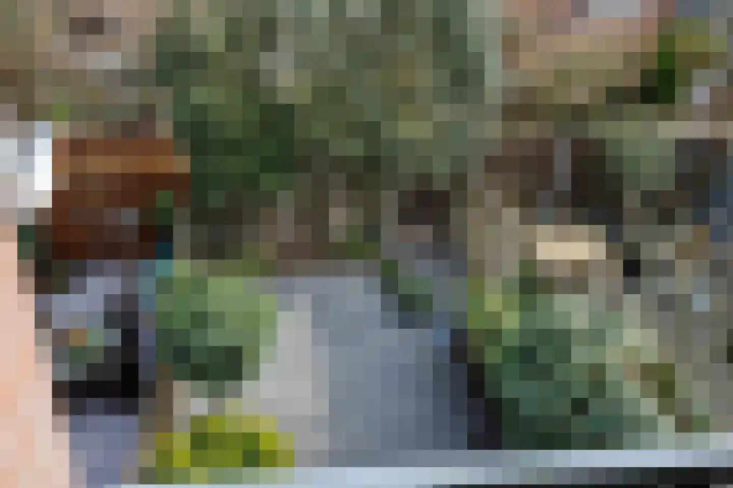 Klimopzoom 91 Leiderdorp thumbnail 32