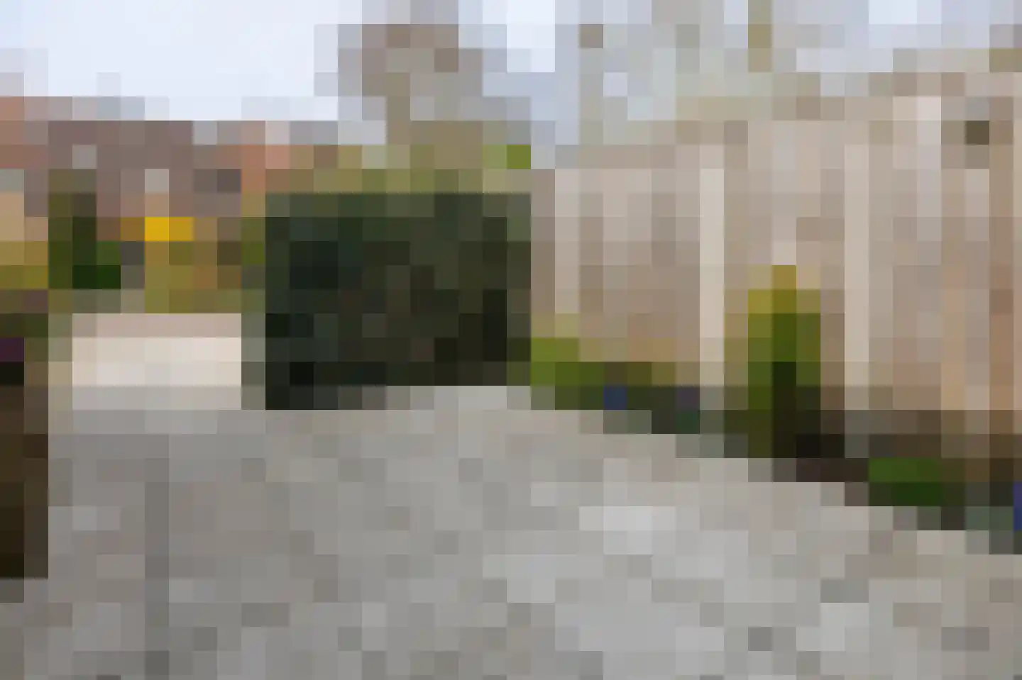 Klimopzoom 91 Leiderdorp thumbnail 36