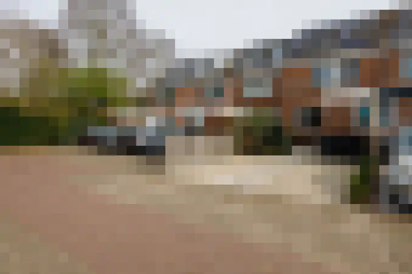 Klimopzoom 91 Leiderdorp thumbnail 38