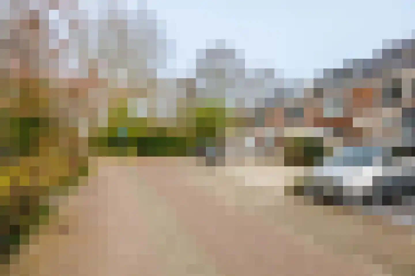 Klimopzoom 91 Leiderdorp thumbnail 39