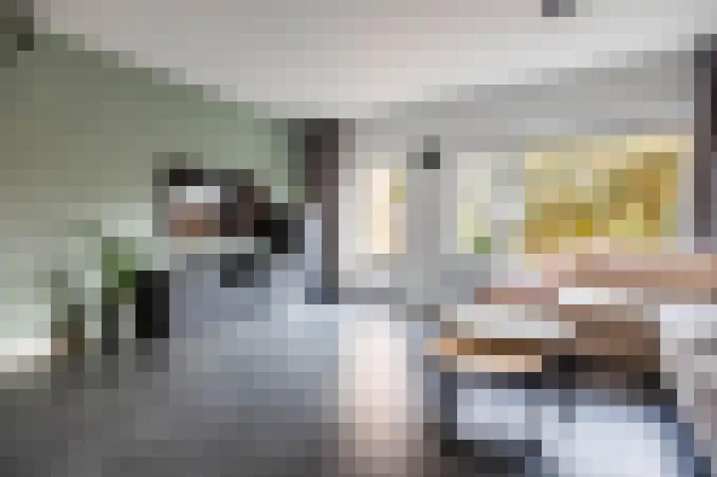 Klimopzoom 91 Leiderdorp thumbnail 4