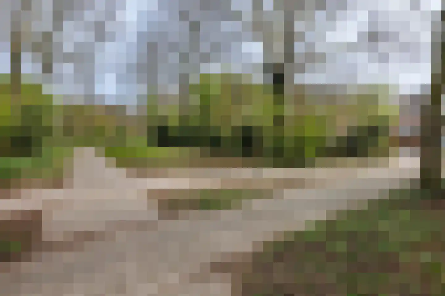 Klimopzoom 91 Leiderdorp thumbnail 40