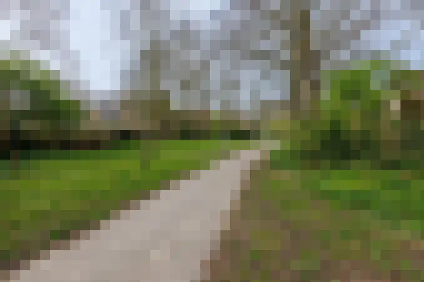 Klimopzoom 91 Leiderdorp thumbnail 41