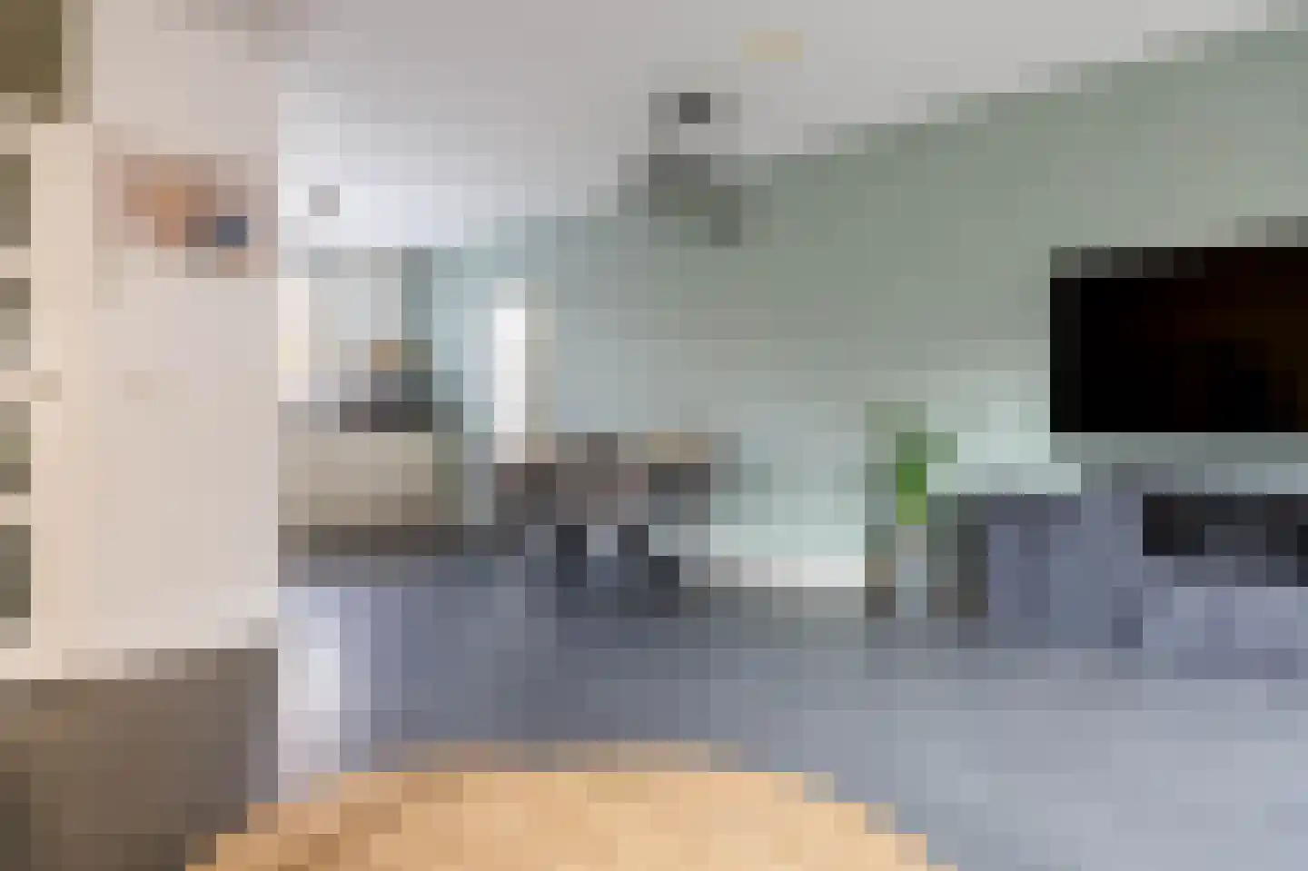 Klimopzoom 91 Leiderdorp thumbnail 5